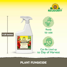 Neudorff Copper Fungicide helps protect tomato leaves from powdery mildew and blight.