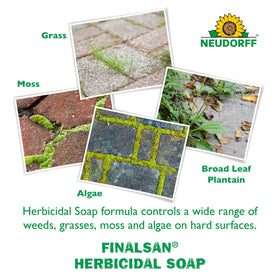 Finalsan concentrate label close-up showing the 1:5 mix for ready-to-use spray.