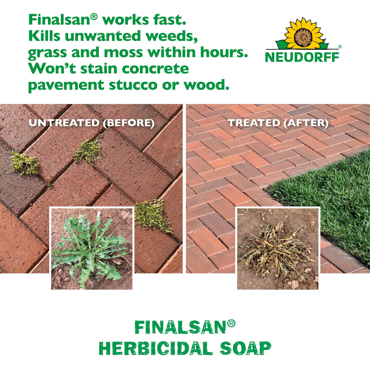 Neudorff Finalsan spray applied to patio cracks for weed control.