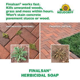 Neudorff Finalsan spray applied to patio cracks for weed control.