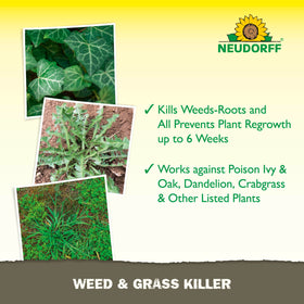 Neudorff Weed Killer used around structures like fences and driveways.