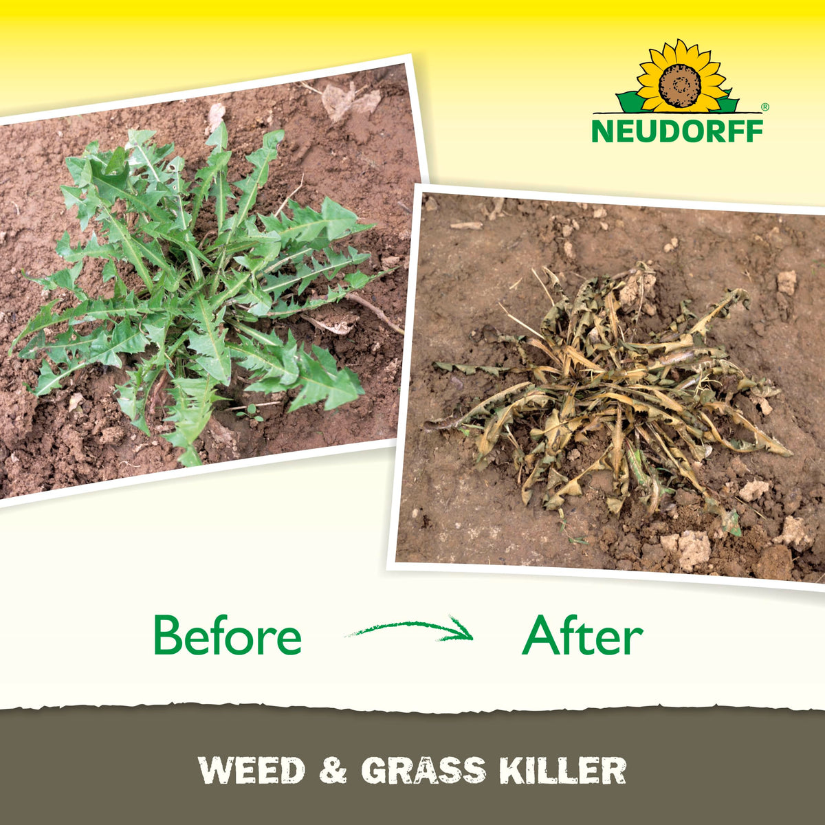 Neudorff Weed Killer bottle pour demonstrates simple, mess-free application.