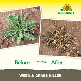 Neudorff Weed Killer bottle pour demonstrates simple, mess-free application.