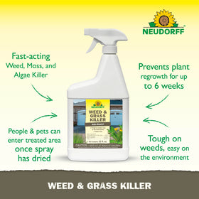 Neudorff Weed Killer on a weed patch highlights root-level penetration.