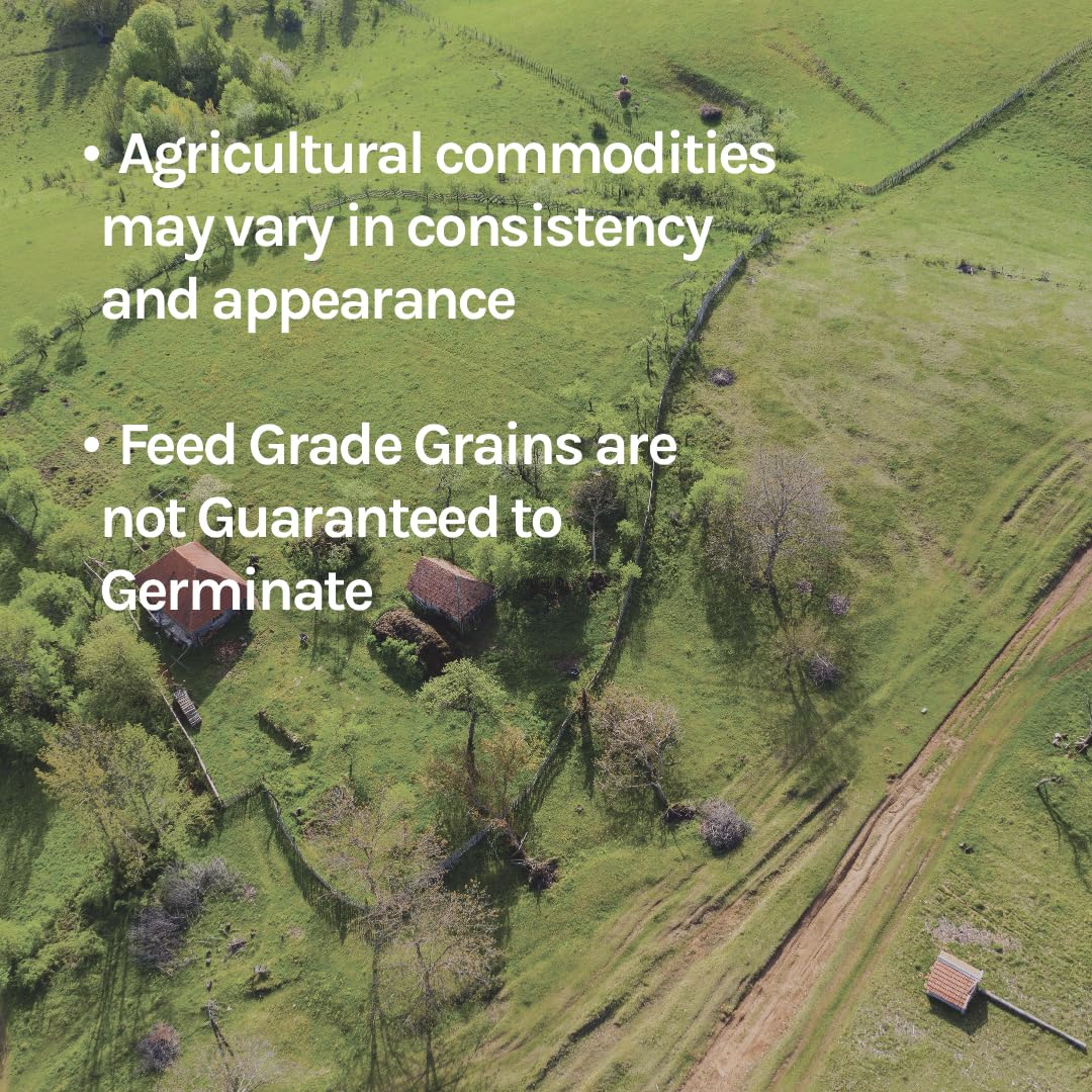New Country Organics alfalfa meal eco-packaging highlights sustainability and recyclable materials.