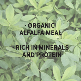 New Country Organics alfalfa meal nutrition label emphasizes certified organic and non-GMO origins.