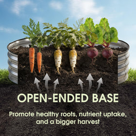 NEWBULIG oval raised bed 4x2ft side view highlights durable metal and stability