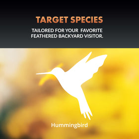 Newhouse Hummingbird Tray Feeder with ant moat helps keep crawling insects away