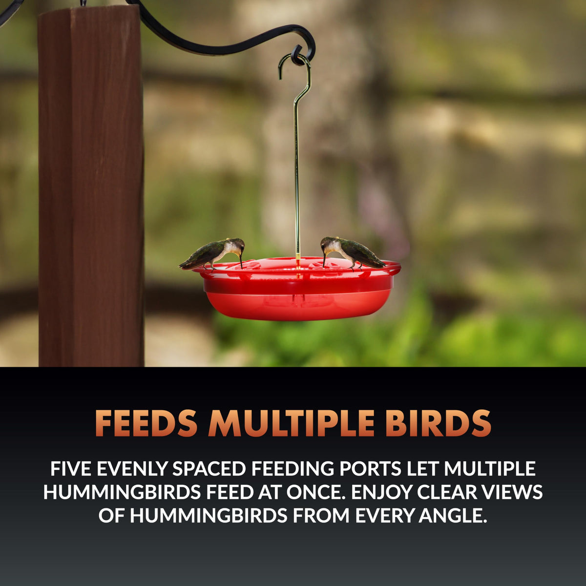 Newhouse Hummingbird Tray Feeder featuring easy-lift lid for simple cleaning and refilling