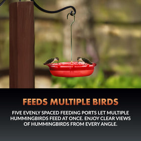 Newhouse Hummingbird Tray Feeder featuring easy-lift lid for simple cleaning and refilling