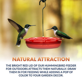 Newhouse Hummingbird Tray Feeder with five ports supports multiple birds for easy viewing