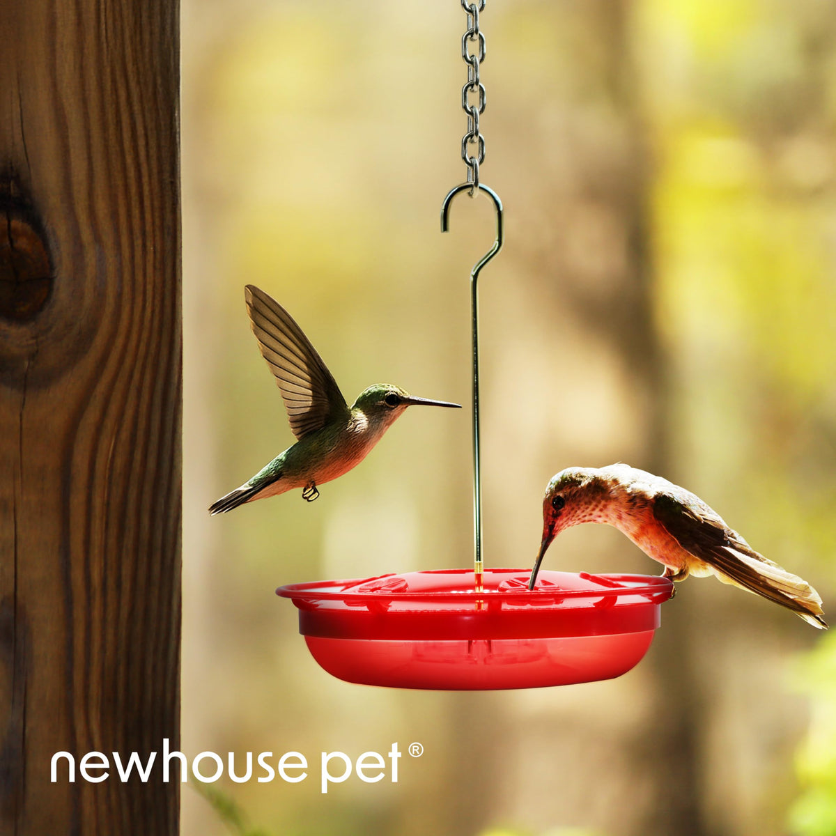 Newhouse Hummingbird Tray Feeder's weather-resistant tray stays clean in sun and rain