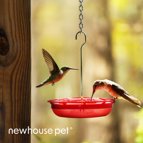 Newhouse Hummingbird Tray Feeder's weather-resistant tray stays clean in sun and rain