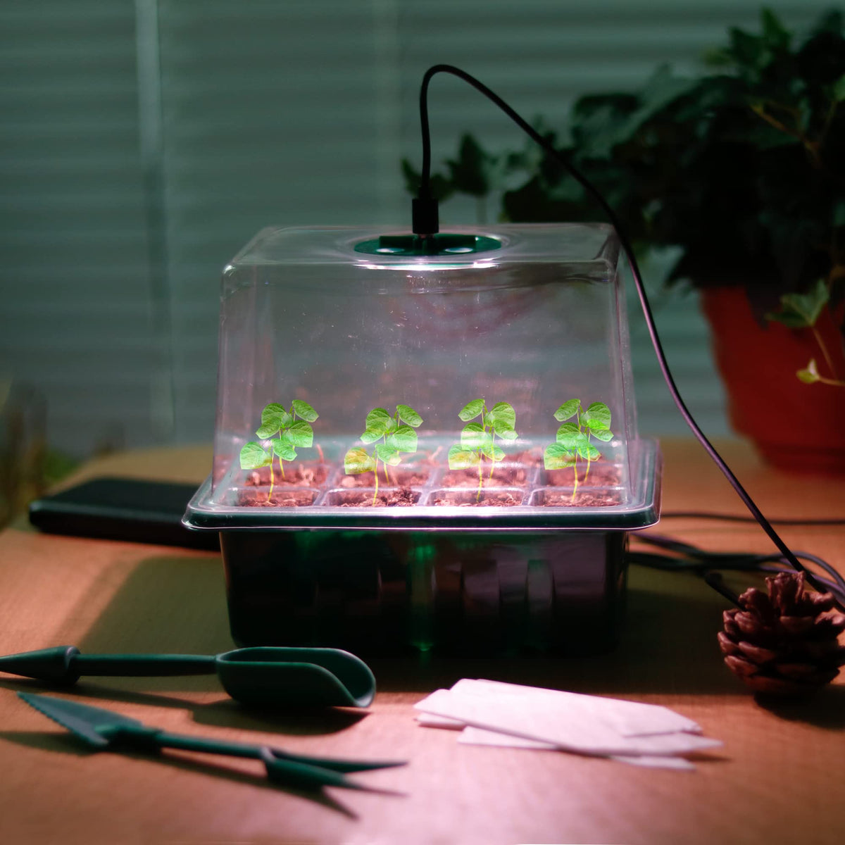 NEWKITS gardening tools included for transplanting and labeling