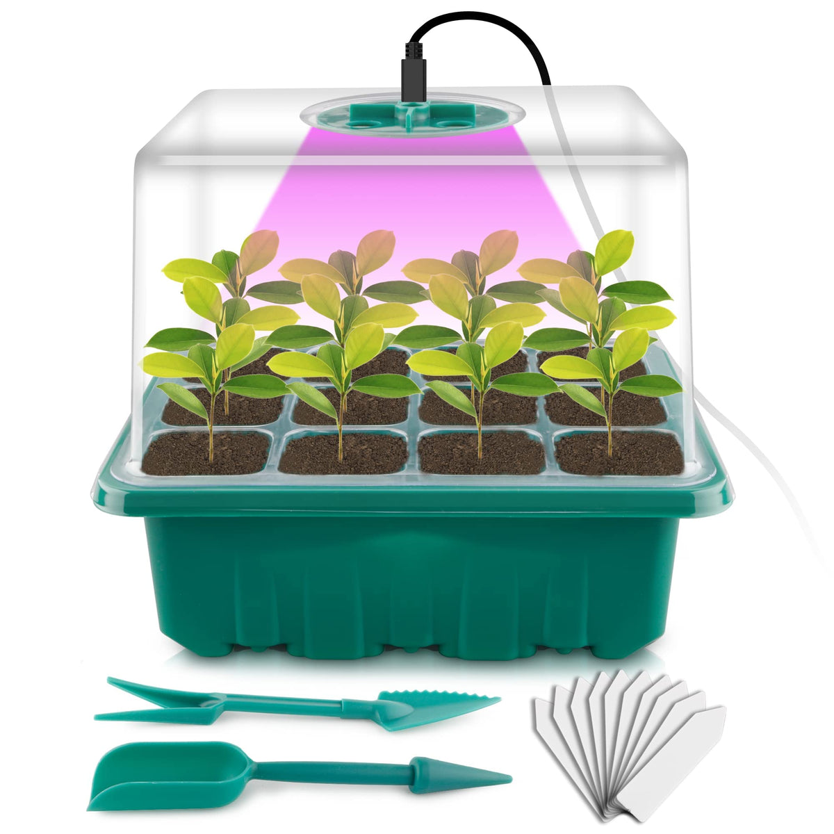 NEWKITS seed starter tray setup in a small greenhouse space