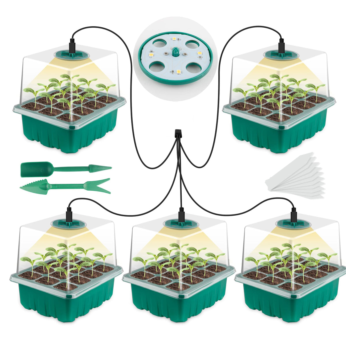 NEWKITS seed starter tray with LED light demonstrates compact indoor seed germination