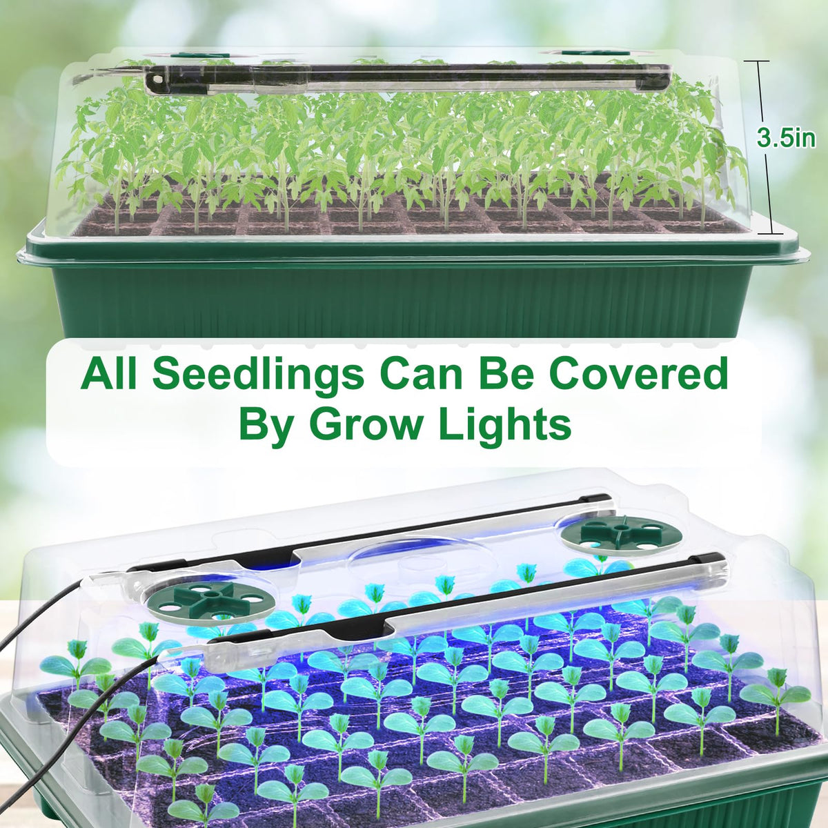 NEWKITS top vents regulate humidity for stable germination conditions