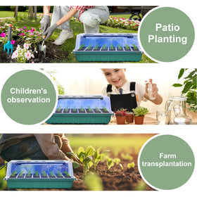 NEWKITS transplant tools and labels included for precise seedling care
