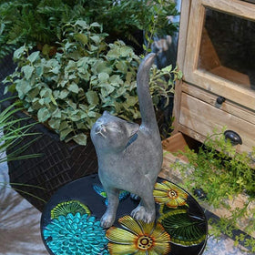 Newman House Studio kitten detailed face showcases hand-painted craftsmanship and charm.