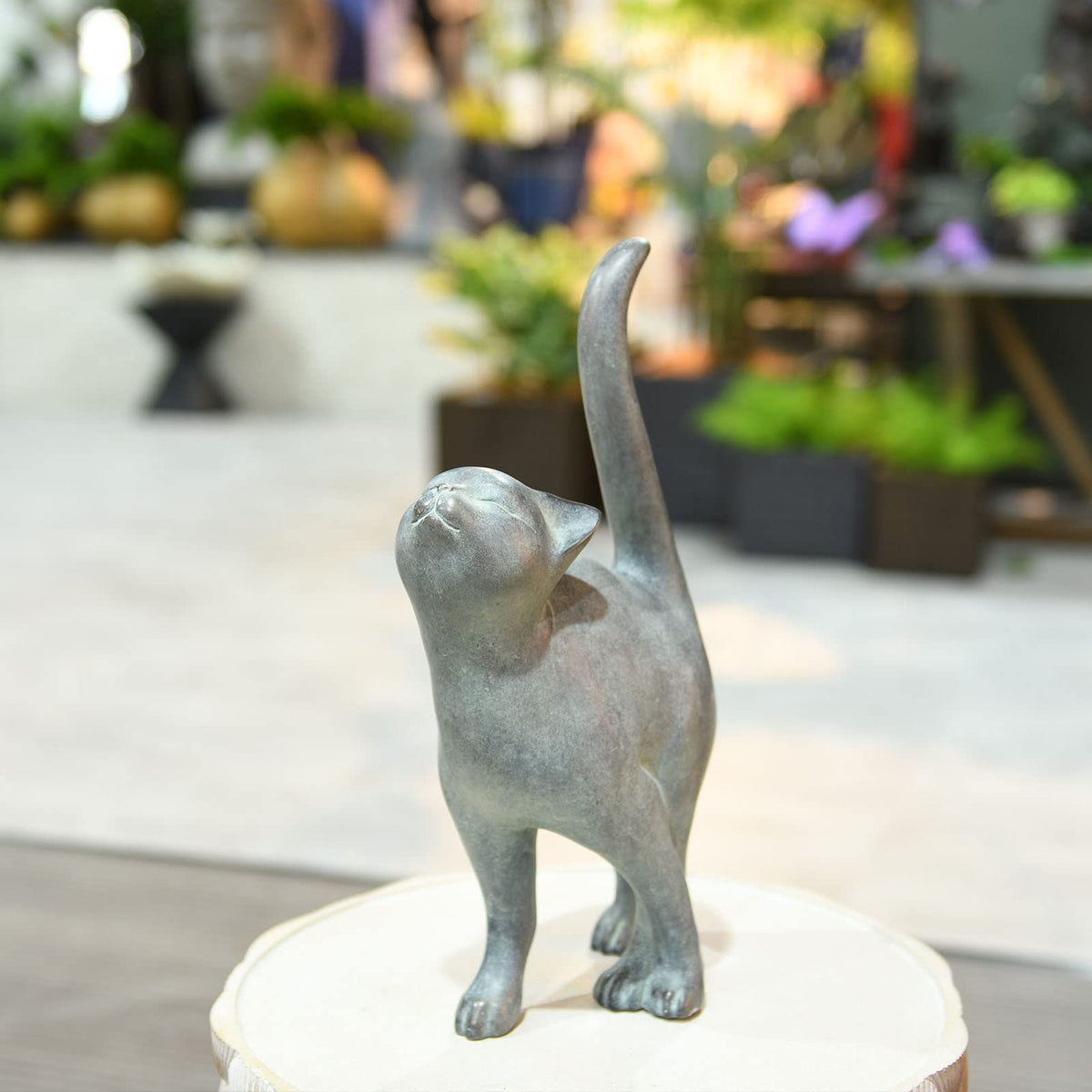 Newman House Studio kitten side view adds whimsical garden path appeal.