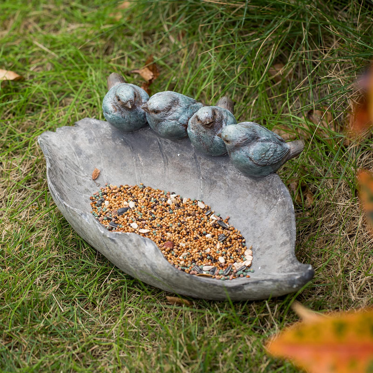 Newman House Studio water bowl outdoors invites birds to bathe and refresh