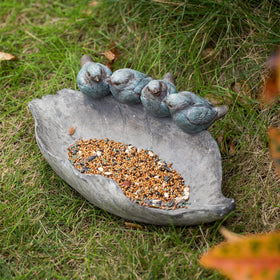 Newman House Studio water bowl outdoors invites birds to bathe and refresh