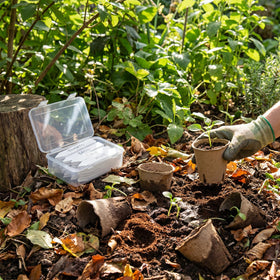 NEWMIAO eco-friendly garden kit packaging and design