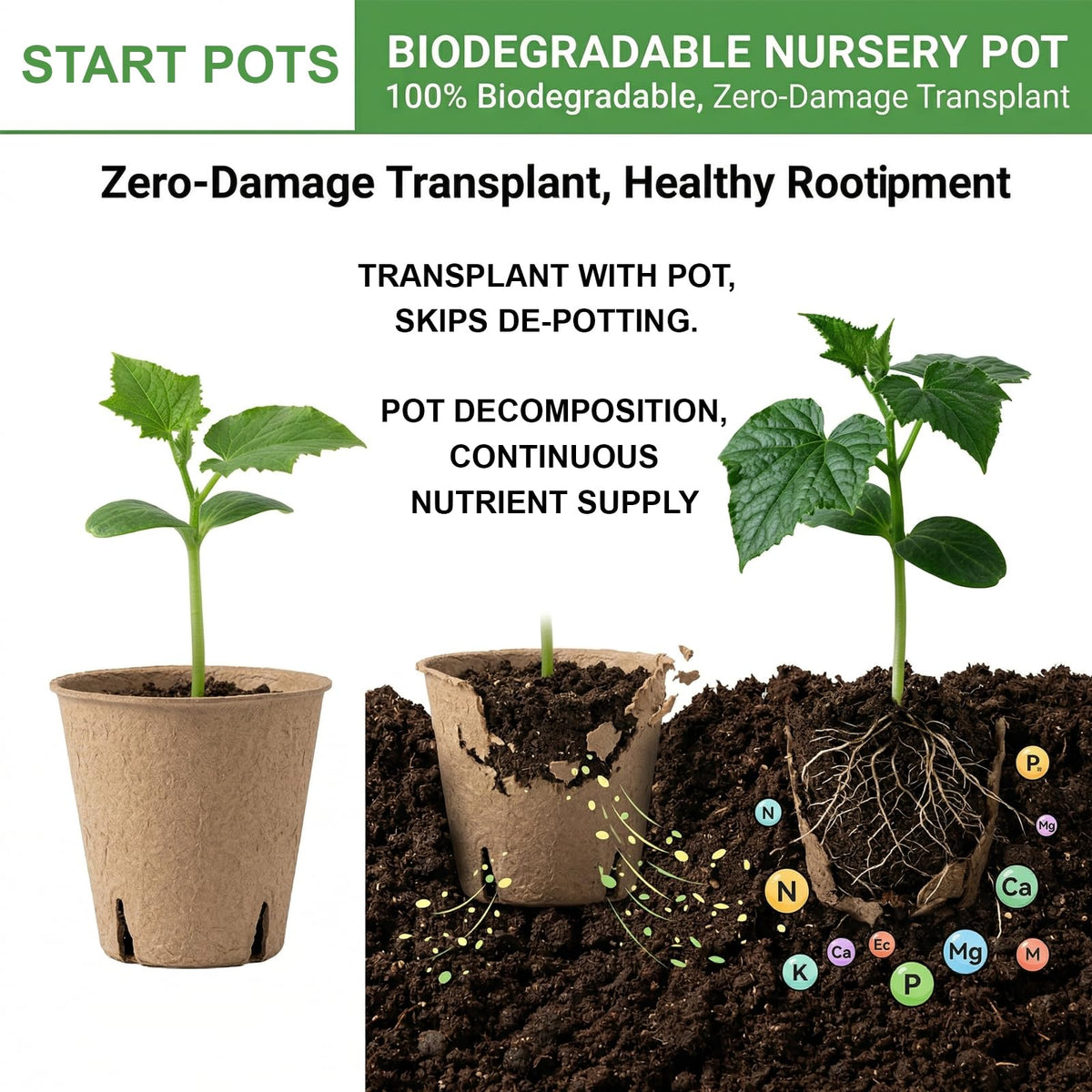 NEWMIAO peat pots close-up showing drainage holes for water balance