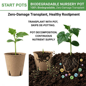 NEWMIAO peat pots close-up showing drainage holes for water balance