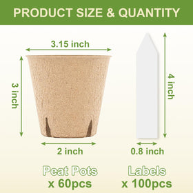 NEWMIAO 100-count plant labels lineup for seedling organization