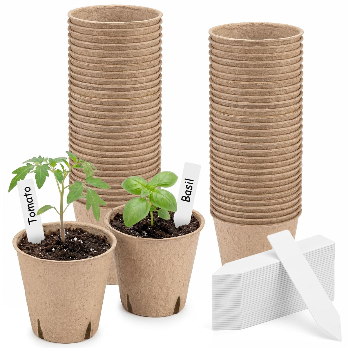 NEWMIAO pots with porous walls enabling root growth through the sides