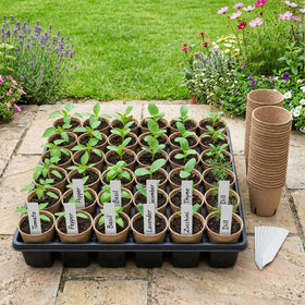 NEWMIAO round seed starter pots pack ready for seed sowing