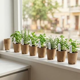 NEWMIAO seed starting kit in use with seedlings
