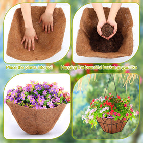 Newtay coir liner supports indoor and outdoor plant setups with renewal-friendly material