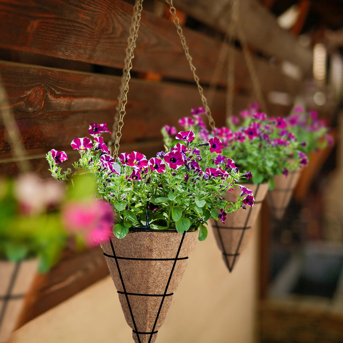 Newtay cone liner supports diverse flowers and plants