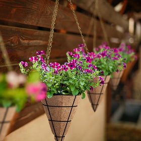 Newtay cone liner supports diverse flowers and plants