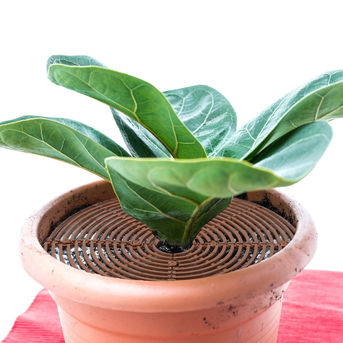 Newtay easy install and removal protects pots conveniently