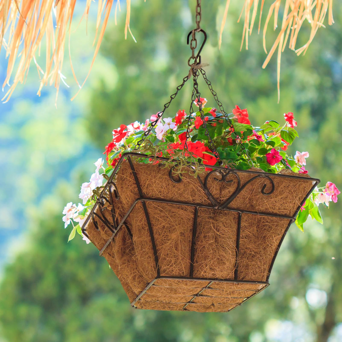 Newtay natural brown coir liner enhances rustic planter aesthetics