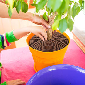 Newtay planter shield helps keep indoor floors clean