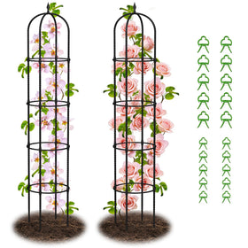 Nexum Garden Obelisk Trellis assembled for sturdy vertical support of heavy vines