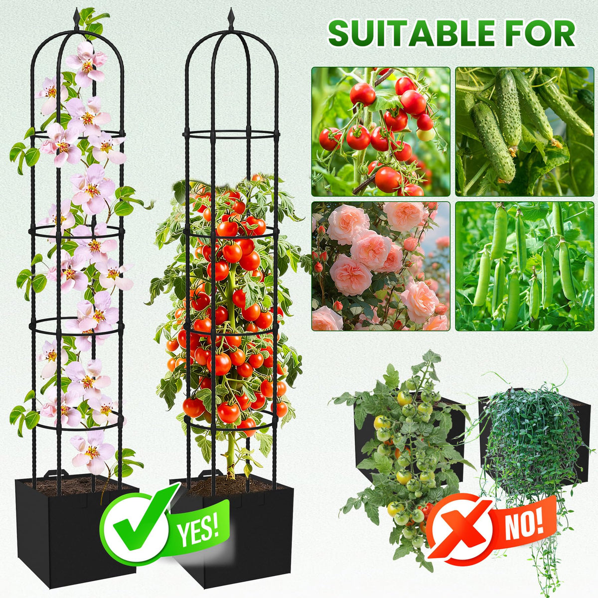 Nexum Obelisk Trellis usable indoors or outdoors in various containers
