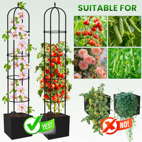 Nexum Obelisk Trellis usable indoors or outdoors in various containers