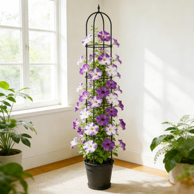 Nexum included plant ties help guide and support plant growth