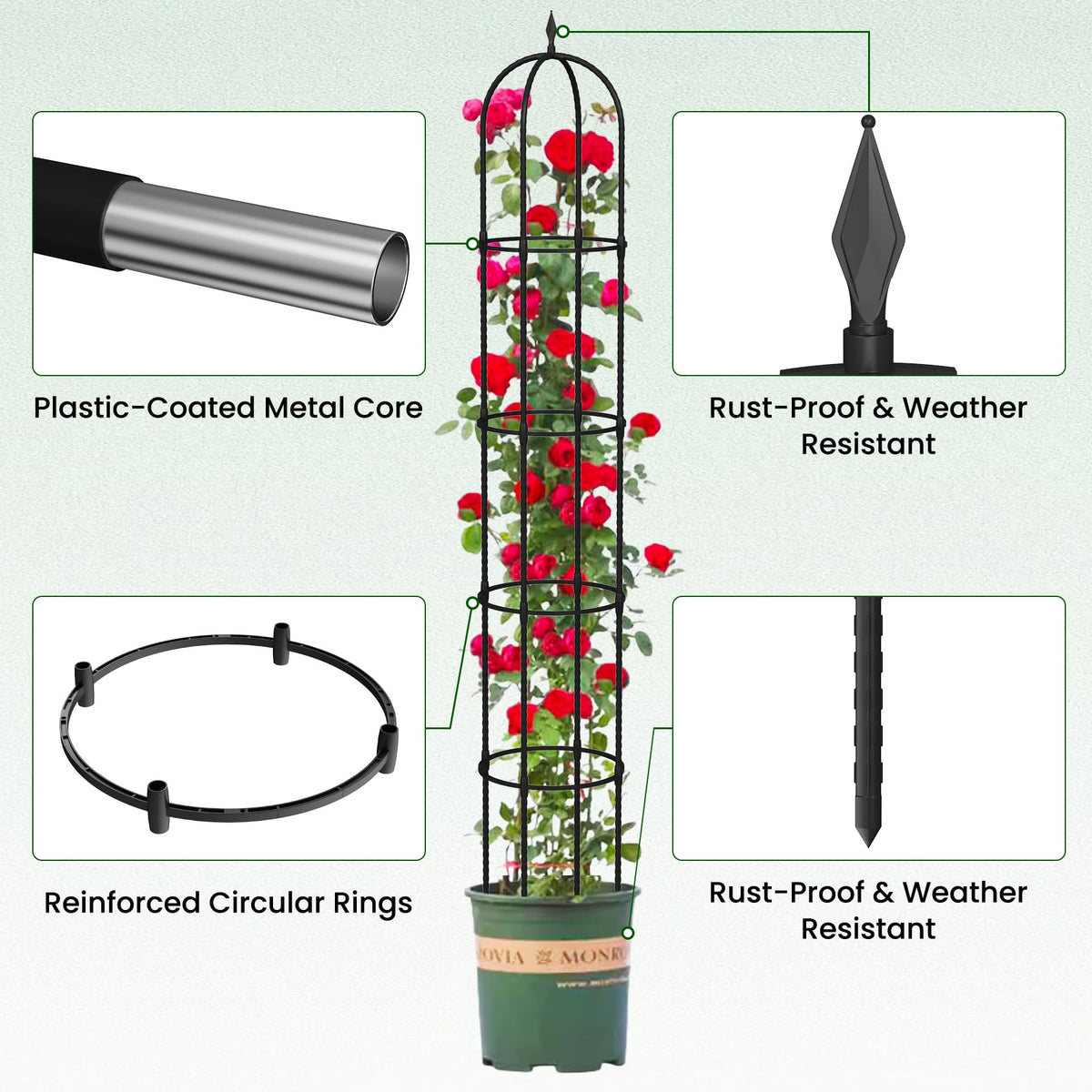 Nexum rustproof coating visible on the trellis for outdoor durability