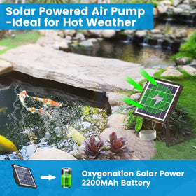 NFESOLAR 3W aerator battery backup highlights 2200mAh storage for night-time oxygenation.