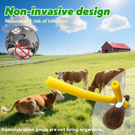 NFie packaging highlights 30 bands and prompt customer support