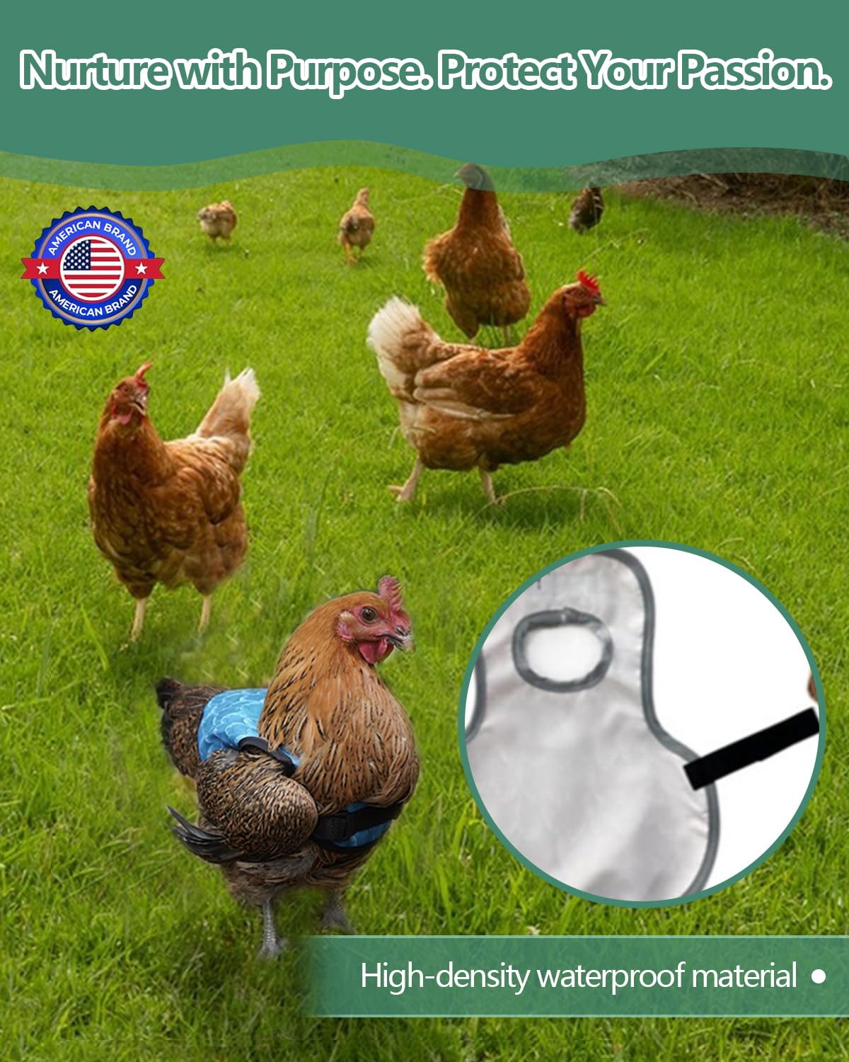 NHWNHW back protector supports recovery for injured hens without isolation.