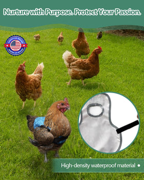 NHWNHW back protector supports recovery for injured hens without isolation.