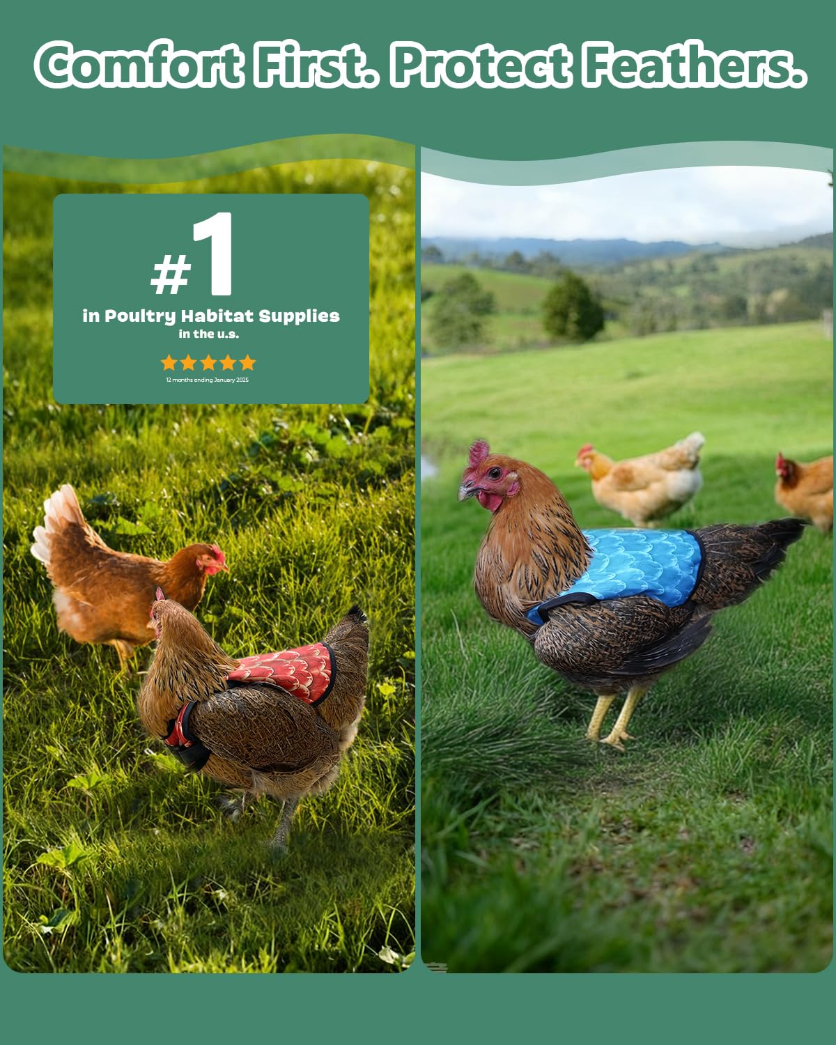 NHWNHW chicken saddle with adjustable elastic straps ensures secure fit.