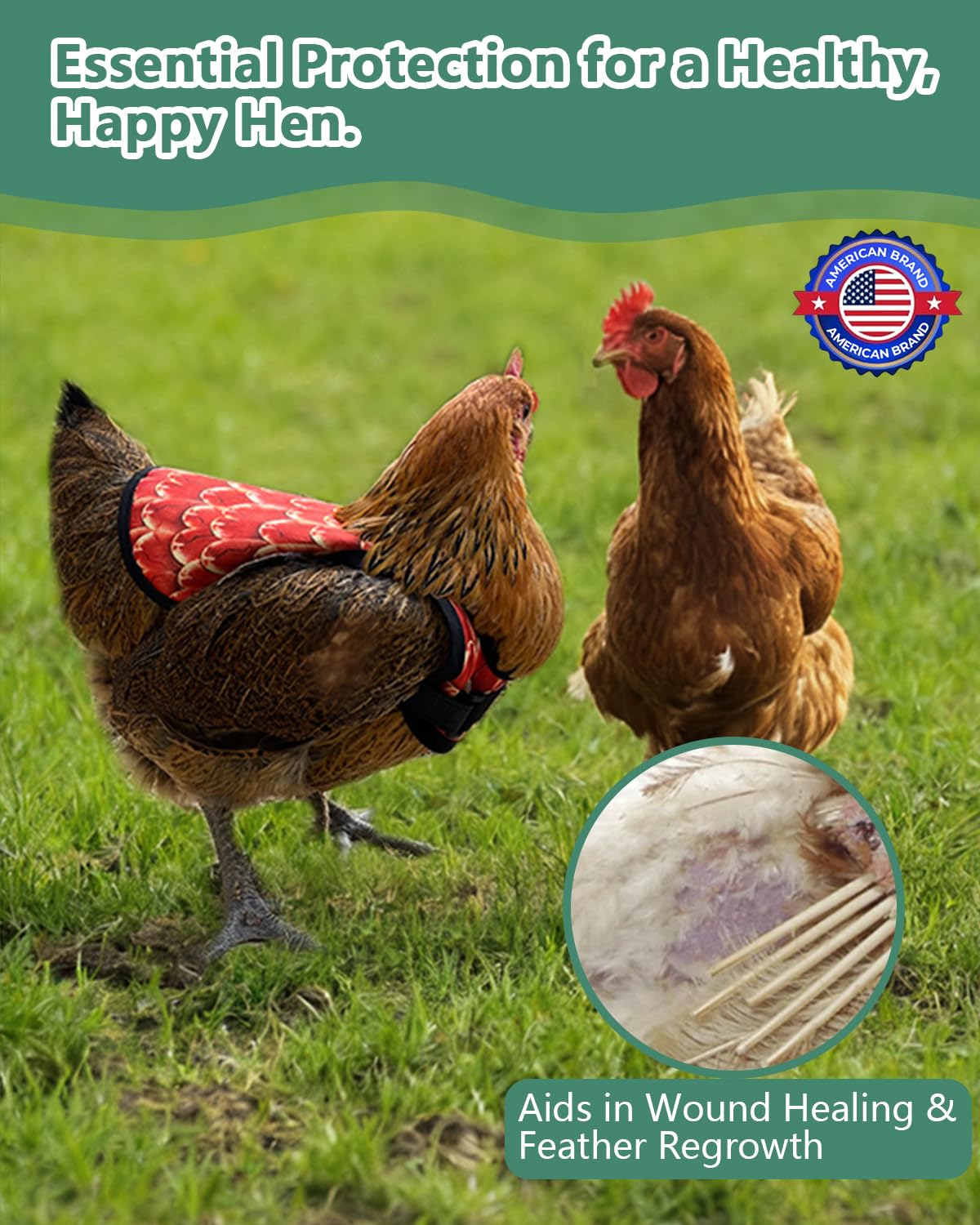 NHWNHW saddle protects feathered backs during mating and pecking.